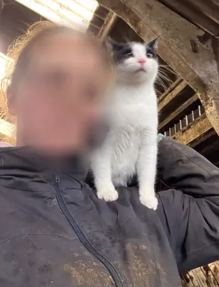 Terhi, 23